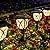 GIGALUMI Solar Lights Outdoor Waterproof, 6 Pack LED Solar Garden Lights, Solar Lights for Outside, Garden Decor for Yard, Patio, Landscape, Planter, Walkway (Warm White)