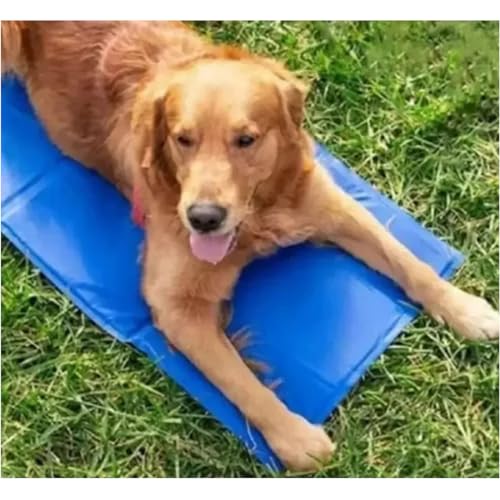 Tapete Gelado Gato Pet Cao Cachorro Refrescante 50x90 Colchonete Macio Animal de Estimaçao Confortav