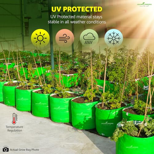 Image of Anandi Green's HDPE Uv Protected 260 GSM Round Green Colour Plant Bag Suitable for Terrace and Vegetable Gardening Size 15x12 Pack of 3 Grow Bag