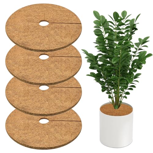 Saituo Home Lot de 4 Tapis de Coco Plantes, Disque de Protection Plante 30cm, Tapis de Paillage en Fibre de Coco Disques Paillage de Désherbage des Plantes...