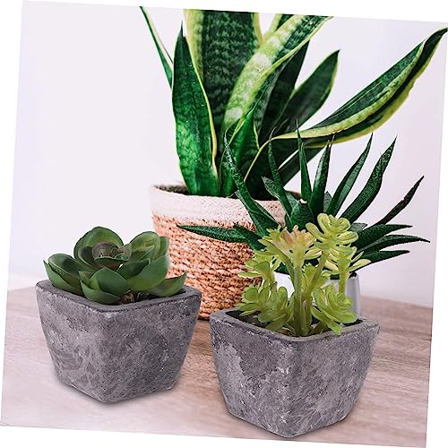 NUSITOU 2 Stuks Tuinaanleg Mini Bonsai Prop Ingemaakte Nepcactus Levendige Bonsai Lichte Huisdecoratie Voor Thuis Kunstmatige Sappige Decoraties Levensechte Cactus Plant Pvc Rekwisieten - Afbeelding 5