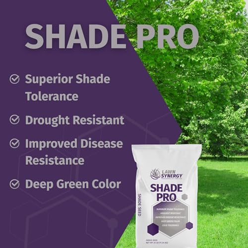 Grass Seed Blend For Shady Lawns Low Sunlight