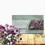 Outsidepride Mixed Gomphrena Seeds - 1000 Pcs Annual, Heat & Drought Tolerant, Pollinator Friendly Globe Amaranth Seeds for Planting w/Vibrant Round Blooms for Beds, Borders, and Arrangements