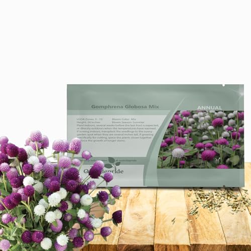 Outsidepride Mixed Gomphrena Seeds - 1000 Pcs Annual, Heat & Drought Tolerant, Pollinator Friendly Globe Amaranth Seeds for Planting w/Vibrant Round Blooms for Beds, Borders, and Arrangements