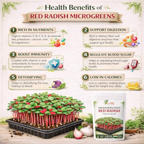 Image of Red Radish Microgreen Seeds, Chemical-Free, Non-GMO, 100 GM Pack with Free One Coco Disk, Grown in India, 7-10 Days Growing Period