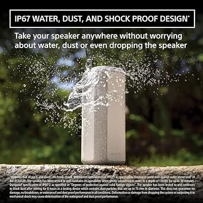 Sony SRS-XE300 X-Series Wireless Portable-Bluetooth-Speaker, IP67 Waterproof, Dustproof and Shockproof with 24 Hour Battery, Light Gray