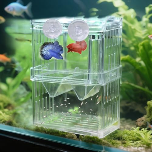 Scatola di allevamento di pesci d'acquario in plastica trasparente