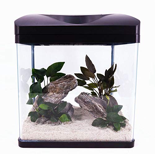 Amtra Technik Nano Aquarium Laguna schwarz Komplettaquarium Stromsparend Beleuchtung Nanoaquarium Komplett Filter Wave Süßwasser Cover