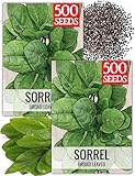 Seed Needs Large Leaf Sorrel Seeds for Planting - Heirloom Non-GMO & Untreated Medicinal or Culinary Herb - Grow a Home Grown Outdoor Garden (2 Packs)