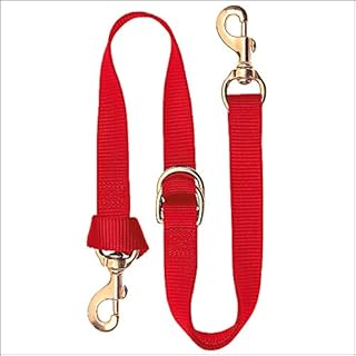 Weaver Deluxe Nylon Tie Down Strap - Size:1