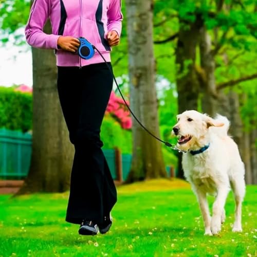 Guia Retrátil Coleira Para Pet Cachorro Cães e Gatos, 3 Metros Com Trava De Segurança, Coleira Retrá