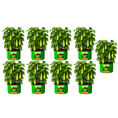 Image of Kingwell Grow Bag 24 X 18 INCH, PACK OF 9 For Terrace Garden Leafy Vegetable Plant Grow Bags Fruits Growing Containers For terrece Gardening (24 X 18 INCH, PACK OF 9)