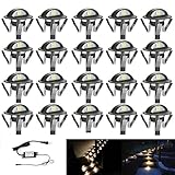 FVTLED Pack of 20 Warm White Low Voltage LED Deck lights kit Φ1.38" Outdoor Garden Yard Decoration Lamp Recessed Landscape Pathway Step Stair Warm White LED Lighting, Black 141［並行輸入］
