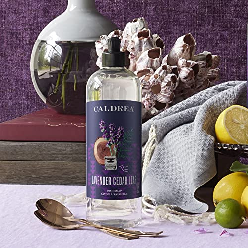 Image of Caldrea Dish Soap, Biodegradable Dishwashing Liquid made with Soap Bark and Aloe Vera, Lavender Cedar Leaf, 16 oz , 3 Pack