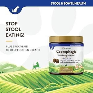   NaturVet--Coprophagia-Stool-Eating-Deterrent--Deters-Dogs-from-Consuming-Stool--No-Poop-Eating-for-Dogs-Enhanced-with-Breath-Aid-Freshener-Enzymes-Probiotics--130-Soft-Chews
