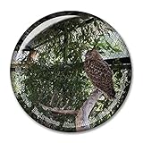 Vereinigte Arabische Emirate Abu Dhabi Falcon Krankenhaus Kabul Abdul Rahman Moschee Kühlschrank Magnet Aufkleber Souvenir Reise Geschenk Sammlerstücke 3D Kristall Handwerk