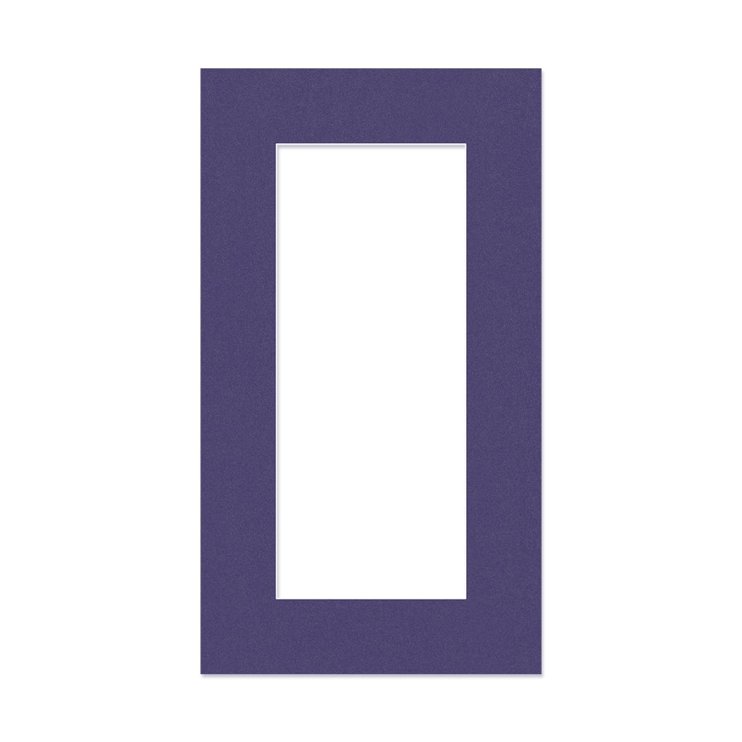 Alison Kingsgate 16x9" Damson Picture Mount for 12x5" Aperture — image 1