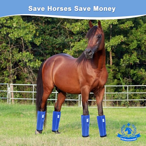 Image of Horse Fly Boots Set of 4, Fly Boots for Horses, Leggings for Horses, Reduce-Stomping, Breathable Mesh, Loose Fitting, Stay Up Not Sag, No Rub