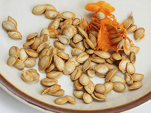 Bird Food - Pumpkin Seeds Raw & Fresh for Birds Macaw, Grey Parrots, Sun Conure, Eclectus (B07NCVD3V2) Amazon Price History, Amazon Price Tracker