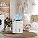 Imagen de HOMCOM Deshumidificador 35L