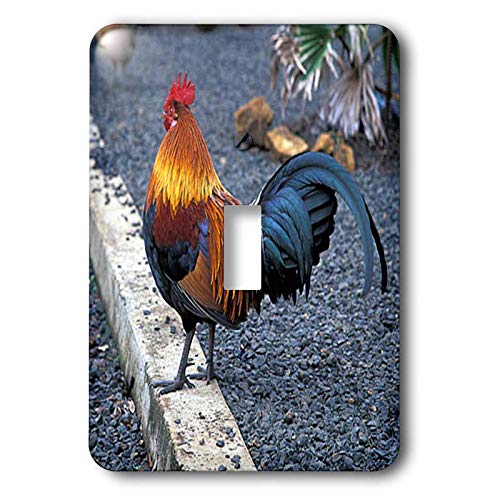 Interrupteur à bascule simple coq : commande électrique murale pour maison rustique - 2