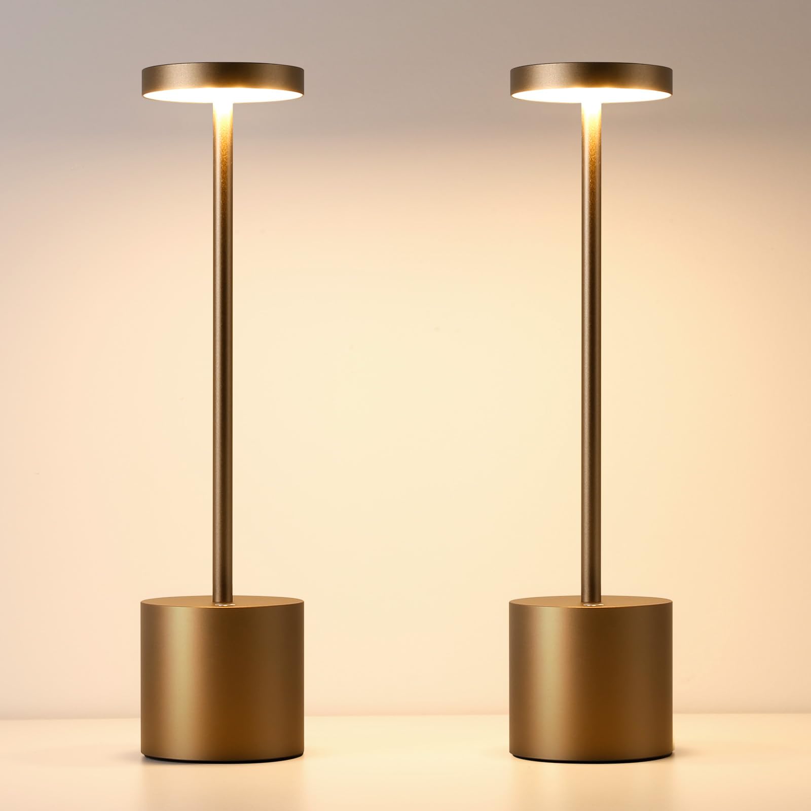 Lampada da Tavolo Senza Fili Ricaricabile per Esterno, Interni (2 Titanium) | lampade a led da tavolo ricaricabili, 6000 mAh batteria, luce dimmerabile, 3 modalità di colore, per sala da pranzo