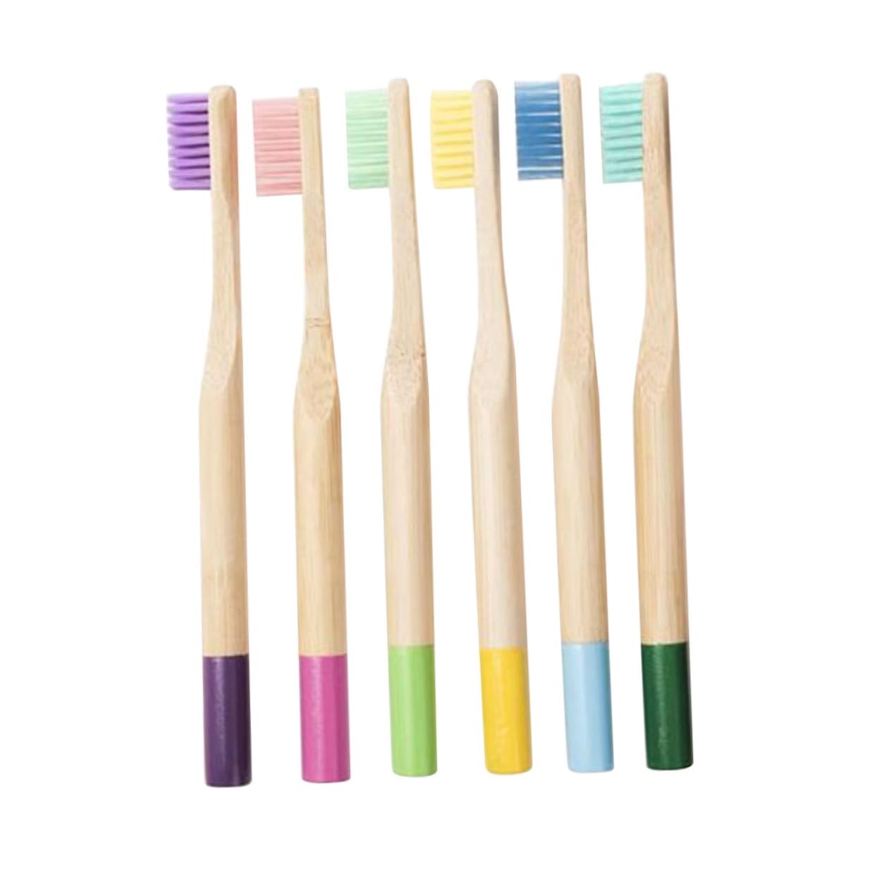 Gogogmee 6Pcs Handle Toothbrush for Soft Bristle Toothbrushes for Oral Care