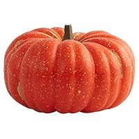 The Perfect Pumpkin 186378182X Book Cover