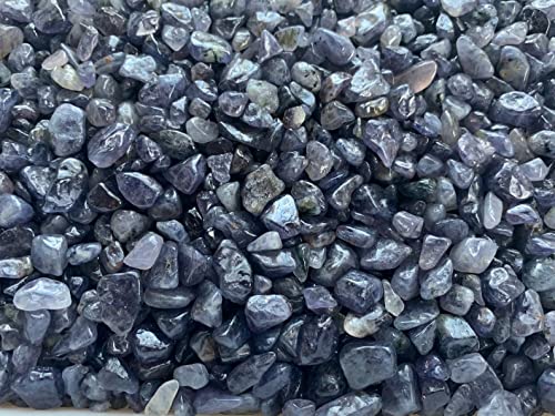 Image of GAF TREASURES 2 oz Lot Natural Semi Tumbled Iolite Gemstone Chips, Iolite Crushed Mini Crystals, Undrilled Crystal Chips (Iolite)