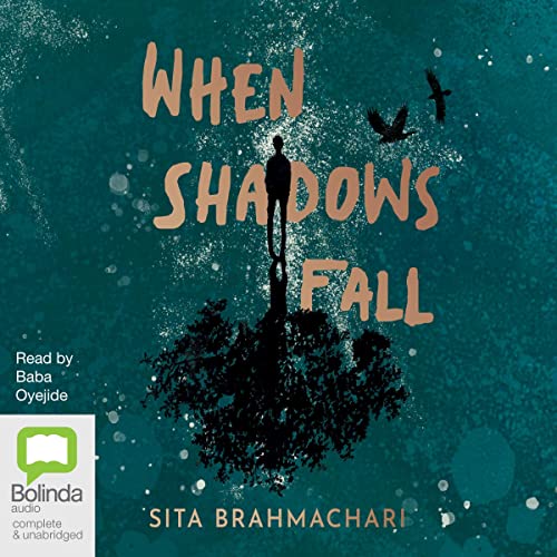 When Shadows Fall by Sita Brahmachari episode artwork
