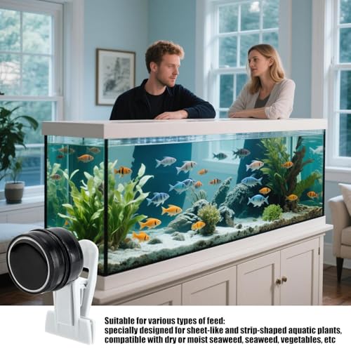 Pince d'alimentation en algues support magnétique aquarium eau salée tortue crevettes - 4