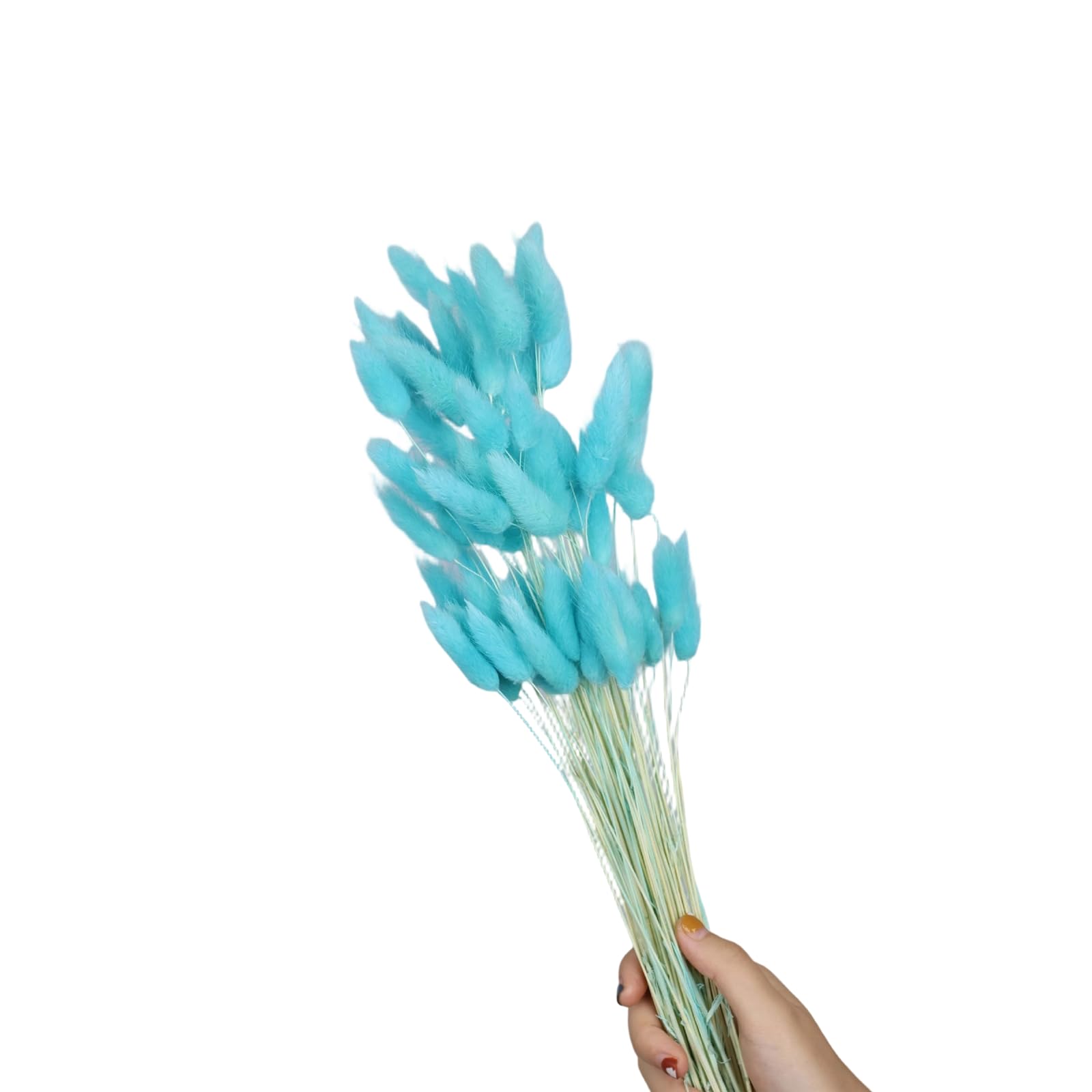 Tsophreniq 60Pcs Natural Hare Tails Dried Flower 23.6Inch Natural Dry Pampasgrass for Vase Arrangements Home Decoration Wedding Pet Safe Dried