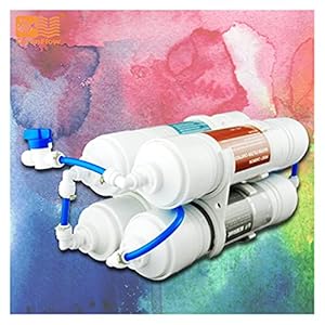 Waterfiltratiesysteem Waterzuiveraar 4 fasen Draagbare ultrafiltratie drinkwater filtersysteem (Color : PUI-4T)