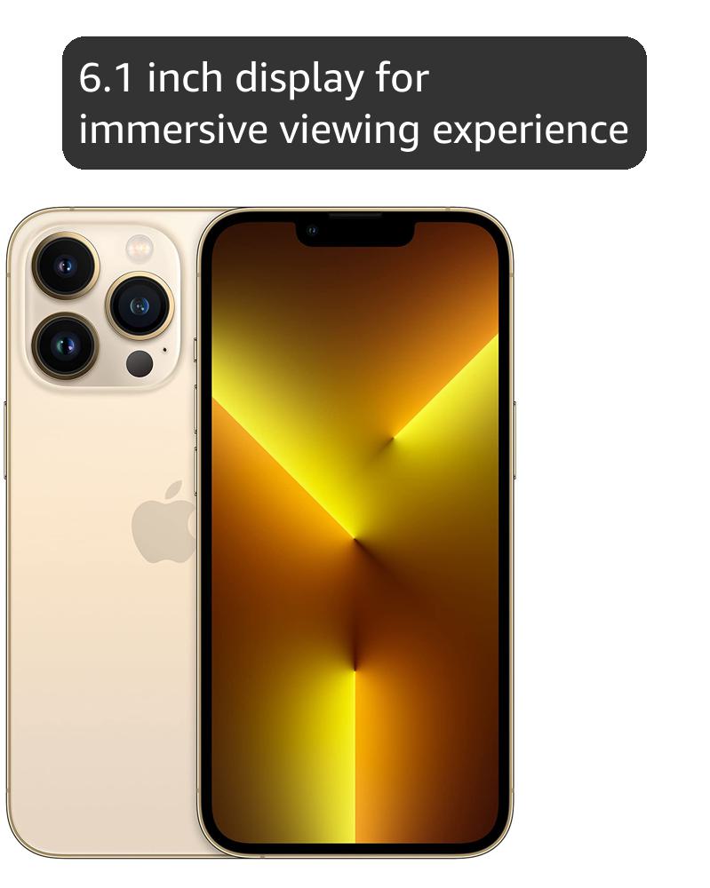 51KCCqopxdL.jpg
