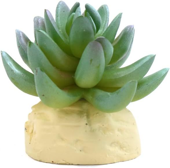 uxcell Green Plastic Cactus Plant Terrarium Reptile Tank Habitat Decor for Reptiles