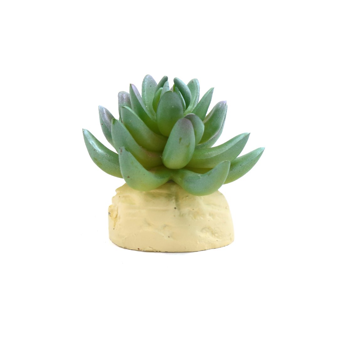 Cactus plastique vert reptile ultra réaliste et résistant pour aménagement de terrariums