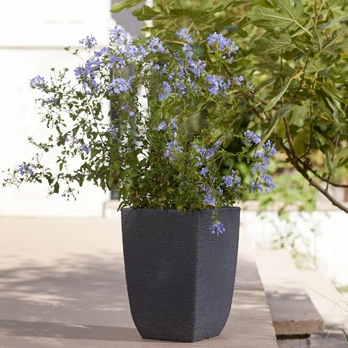 Stewart Flower Pot, Millstone Grey, Medium