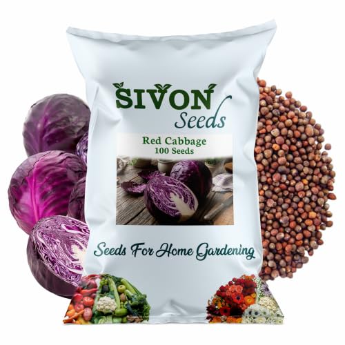 Image of SIVON Red Cabbage (Laal Patta Gobhi) (100 Seeds) Exotic Vegetable Seeds for Home Garden, Organic & Hybrid, Perfect for Home Gardening, Planting For Pots and Patio
