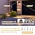 Motion Sensor Porch Lights Outdoor Waterproof,Dusk to Dawn Outdoor Wall Sconce Light Fixtures,Anti-Rust Exterior Lighting Fixtures Wall Mount for Patio,Front Door,Yard,Garage,Matte Black,2 Pack