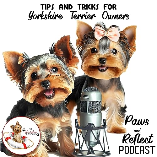 Couverture de Paws and Reflect - About Yorkies