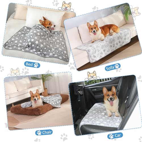 HezzLuv 3er-Pack Hundedecken - Hundedecke Waschbar, Fleecedecke Für Hunde Ideal Für Sofas & Betten, Haustierdecke Für Kleine Mittlere Hunde Katzen, Welpendecke Sofaschoner, 52x76cm, Grau