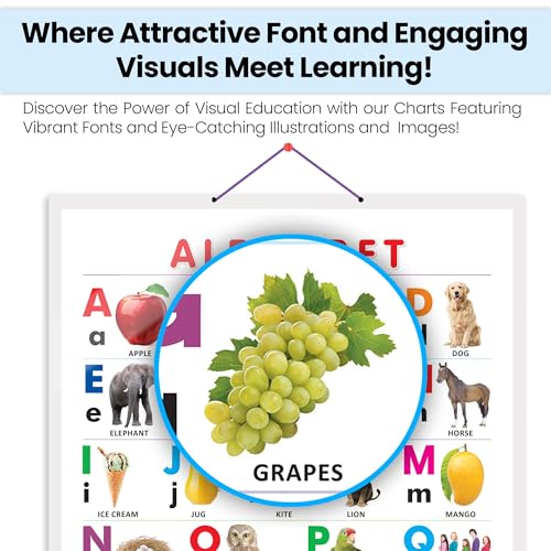 Image of GO WOO ALPHABET CHART HARD LAMINATED | Durable Laminated ABC Learning Poster