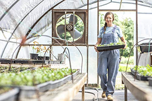 Dickies Women's Bib Overall 100% Cotton Denim With Scuffgard, Rinsed Hickory Stripe, Medium #TOP5