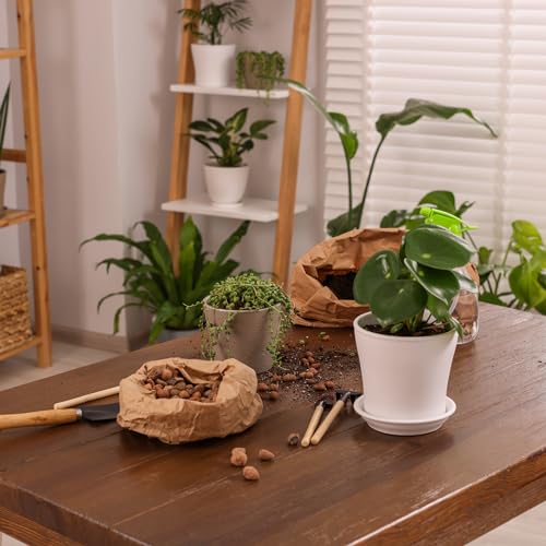 bhomescent Clay Pebbles for Hydroponics, Plant Pots & Orchids – LECA Balls for Drainage, Terrariums & Indoor Plants – Lightweight Expanded Clay Growing Media (5L) - Image 4