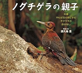 ヤンバルクイナ ～世界中で沖縄にしかいない飛べない鳥～（小学館の