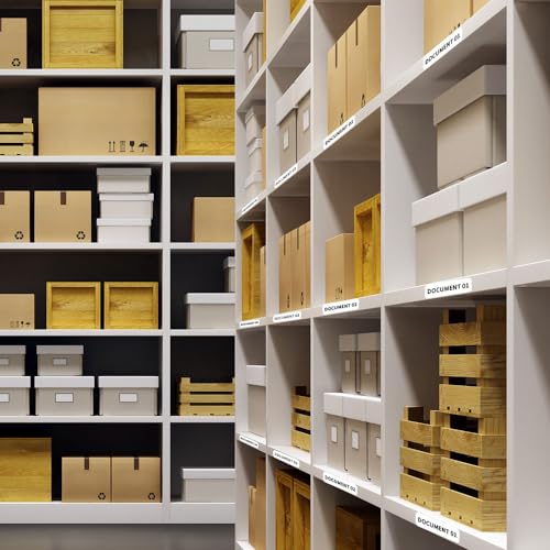 Phomemo Impressora de etiquetas D30, mini máquina de etiquetar Bluetooth sem fio, com fita, impresso