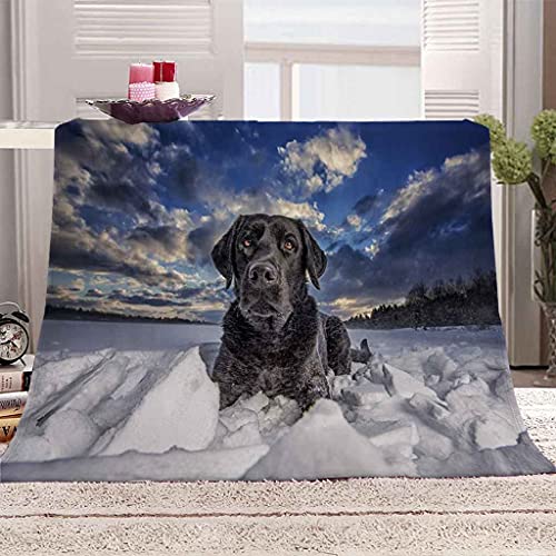Couverture flanelle microfibre 3D au toucher soyeux et durable