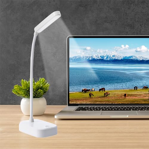 Battery Powered Desk Lamp, Portable Lamps Rechargeable Touch Control,Adjustable Flexible Gooseneck, Eye Protection LED Desk Lamp for Dormitory Study Office Bedroom-White