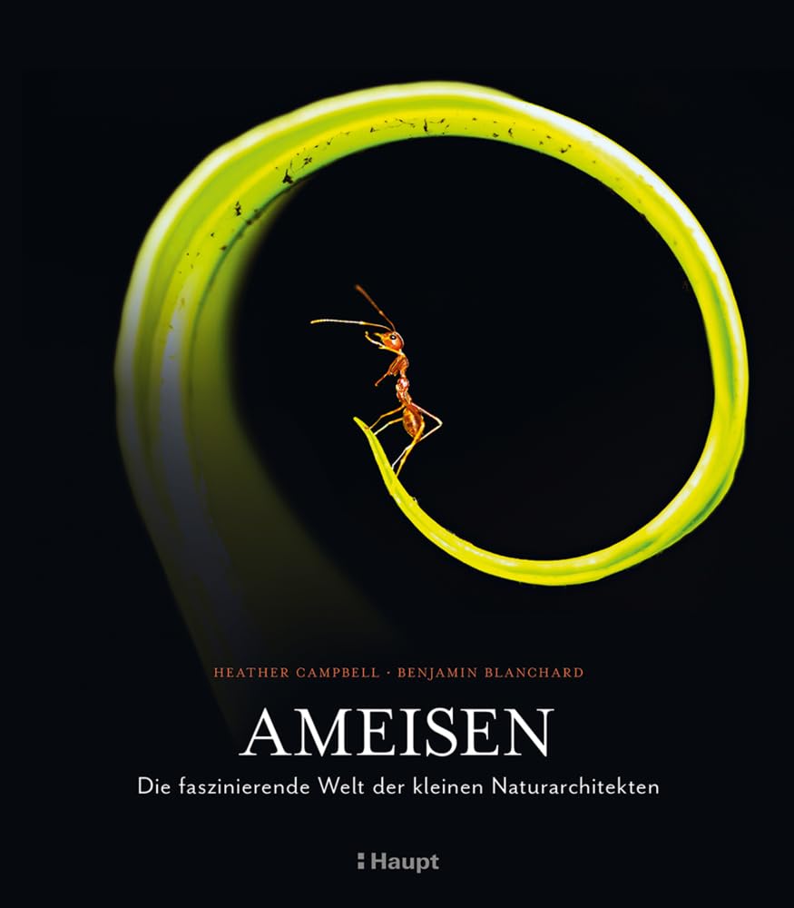 Ameisen: Die faszinierende Welt der kleinen Naturarchitekten 