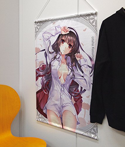 Amazon.co.jp: 冴えない彼女の育てかた♭ 原作版 霞ヶ丘詩羽